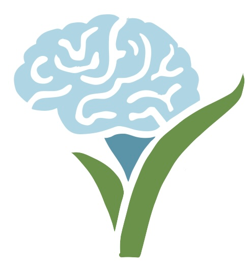 newVistaMentalHealthFavico
